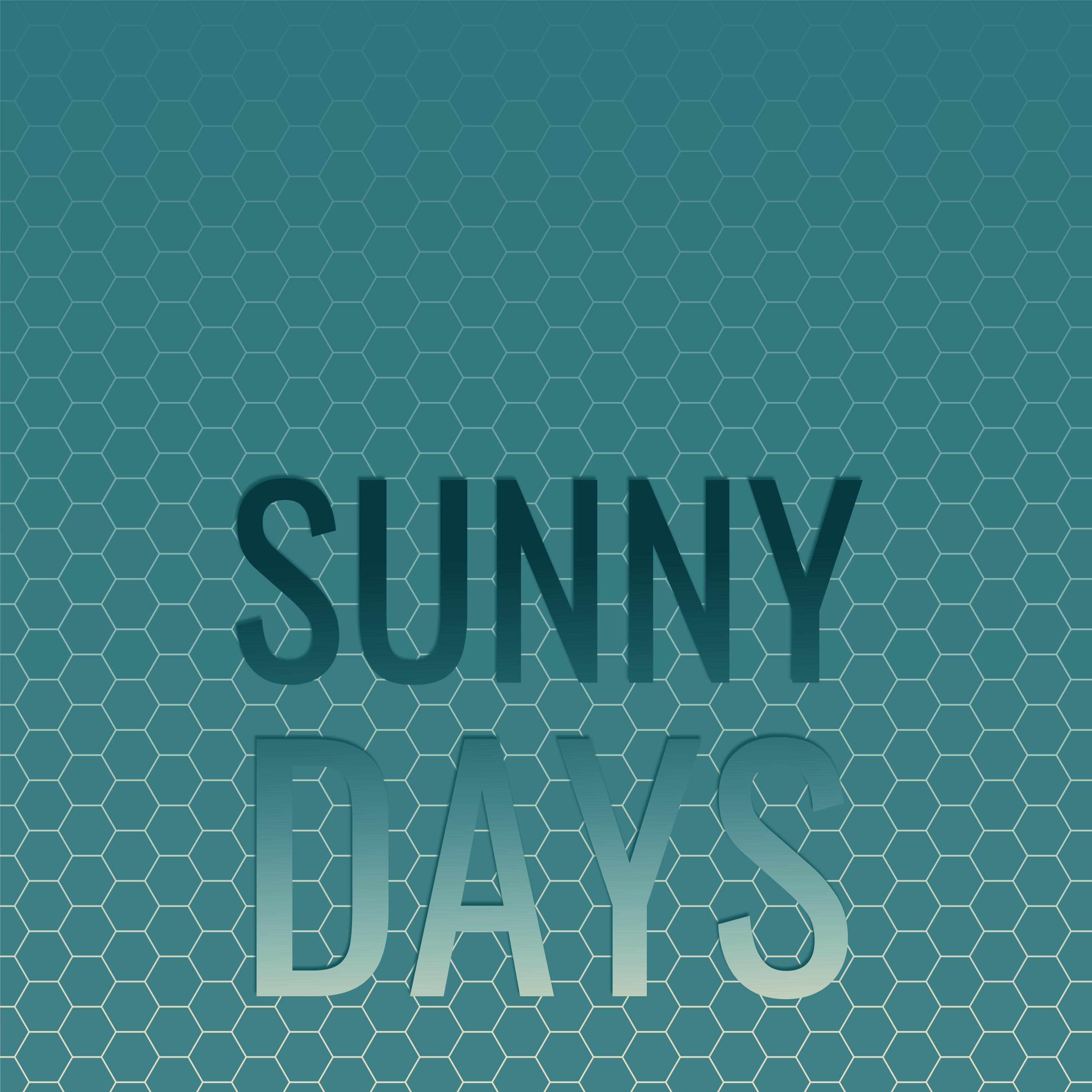 The Precious Few - Sunny Days