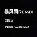 暴风雨（刘思达Remix）专辑