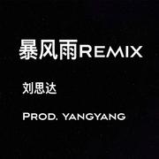 暴风雨（刘思达Remix）