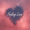 Feeling Love专辑