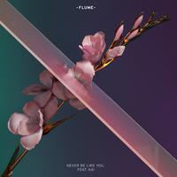 Flume ft Kai - Never Be Like You (Instrumental) 原版无和声伴奏