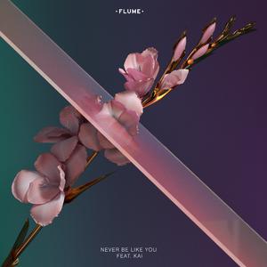 Never Be Like You - Flume feat. Kai (Karaoke Version) 带和声伴奏 （升6半音）