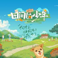 田间的少年 (带和声) (原版立体声)