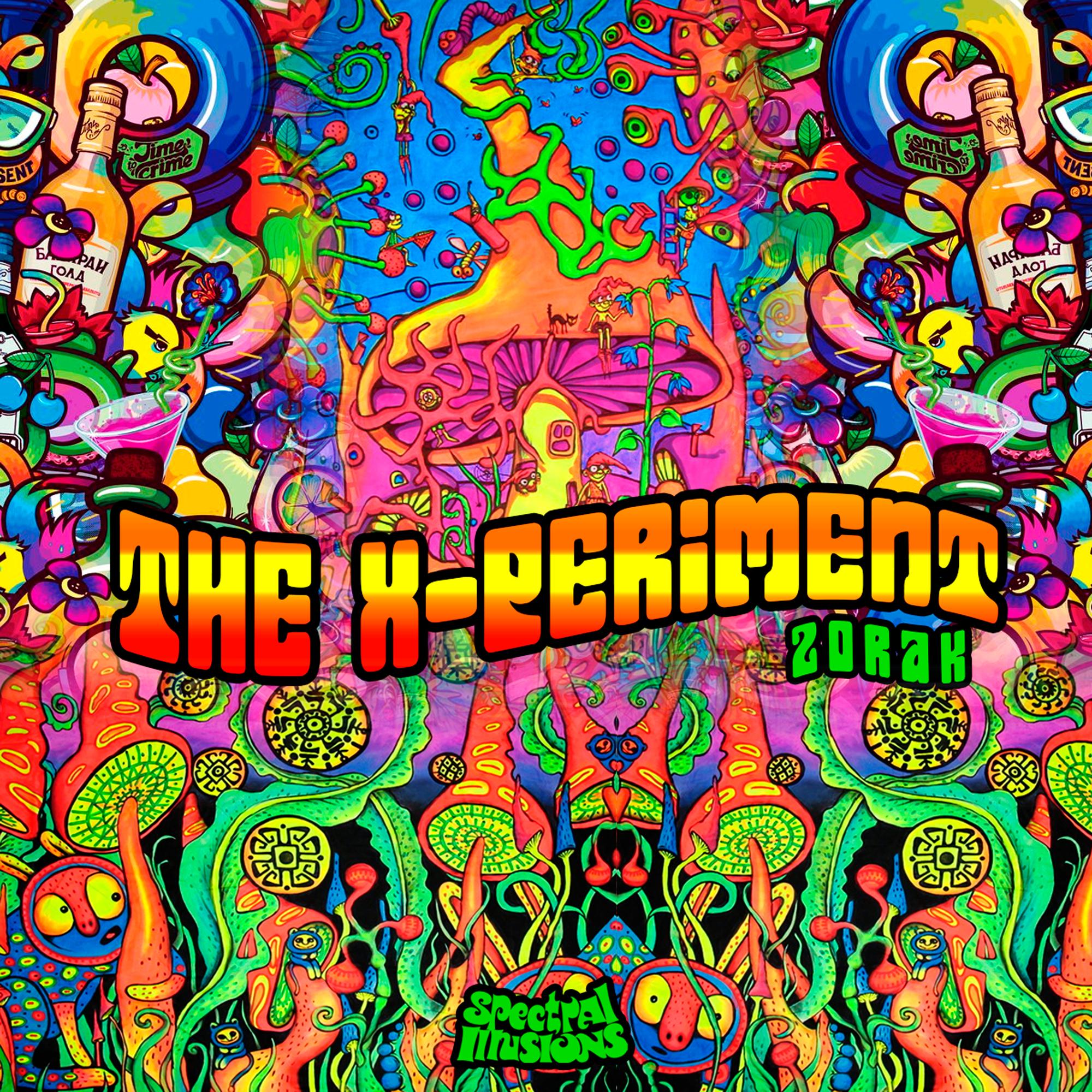 The X-Periment