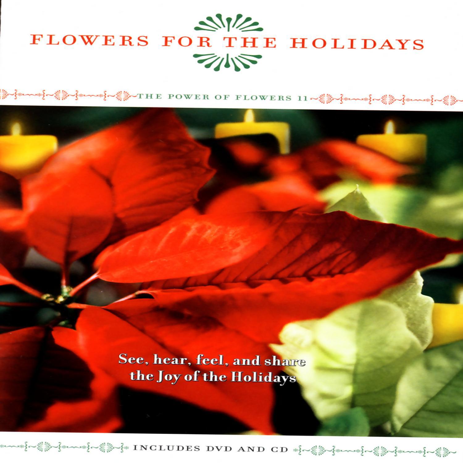 Flowers For The Holidays - The Power Of Flowers 11专辑