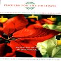 Flowers For The Holidays - The Power Of Flowers 11专辑