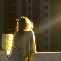 西南426 - 幽夜之森