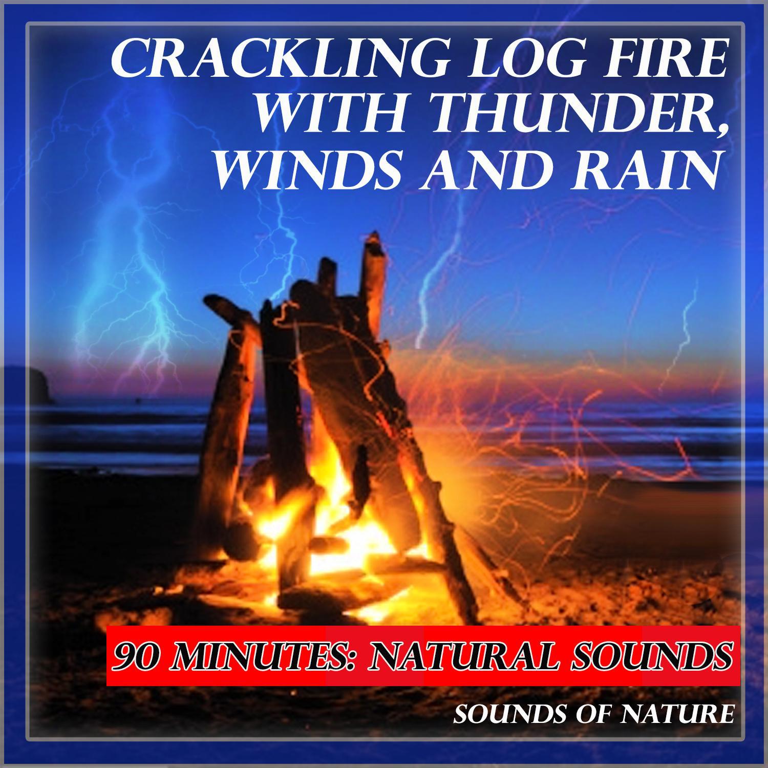 Natural Sounds: Crackling Log Fire with Thunderstorm, Winds and Rain专辑