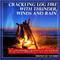 Natural Sounds: Crackling Log Fire with Thunderstorm, Winds and Rain专辑