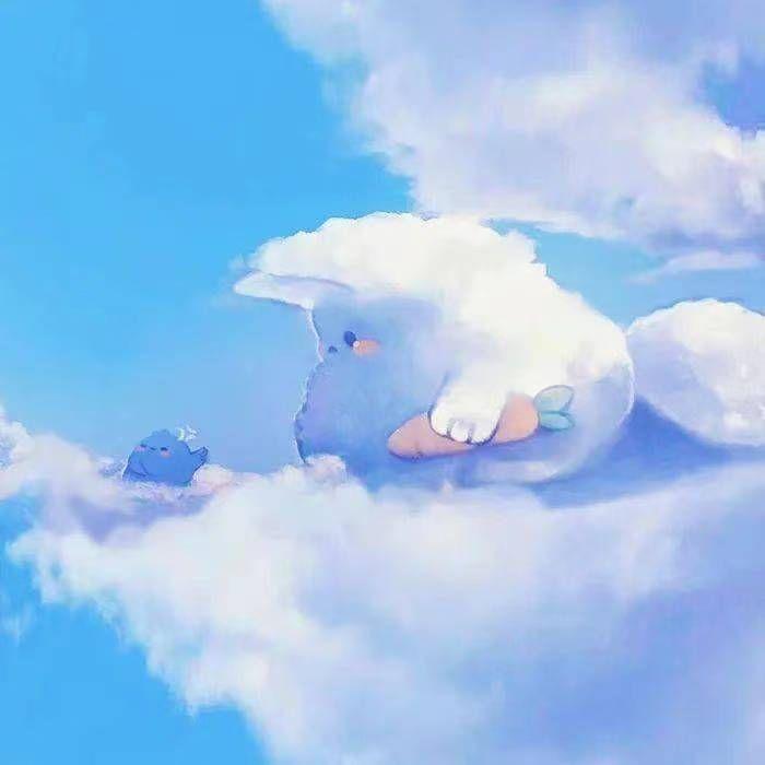 会开花的云