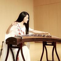 马琳 - 荷塘月色 伴奏 高品质立体声纯音乐琵琶演出伴奏