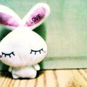 Love Rabbit