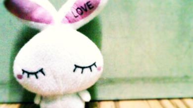 Love Rabbit