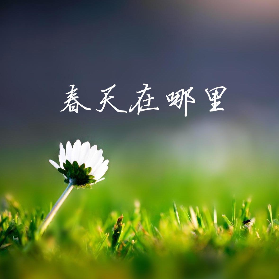 春天在哪里——孩子们的歌
