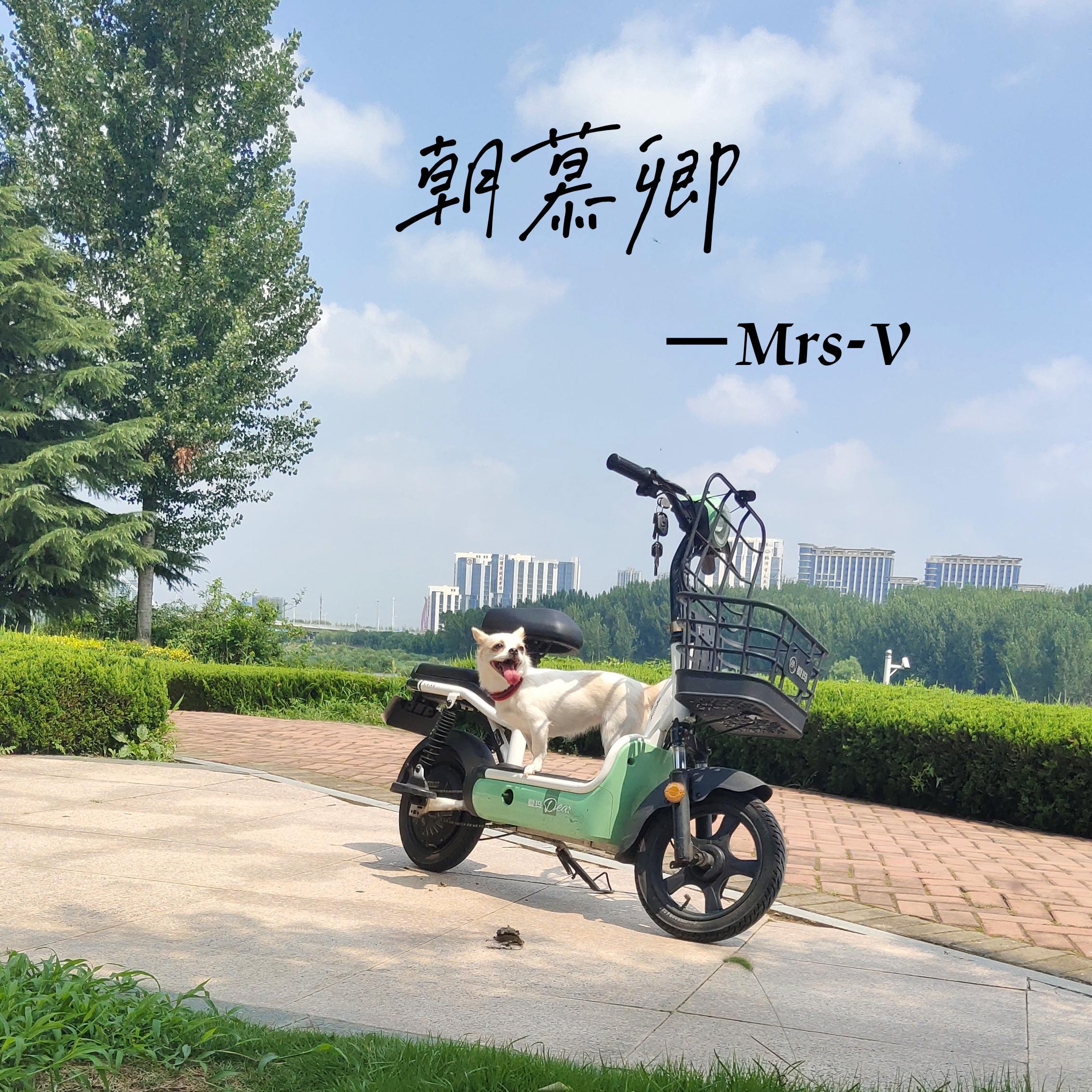 朝慕卿（女版）