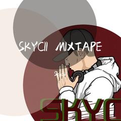 Pitch Perfect Combo-硬核的蹦迪选手（SKYCII MIXTAPE V01)（Skycii remix）