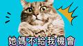 她妈不给我机会专辑