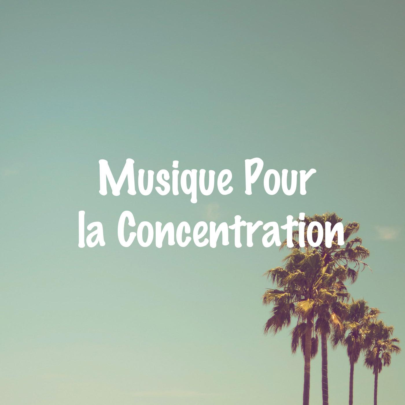 Musique Pour La Concentration