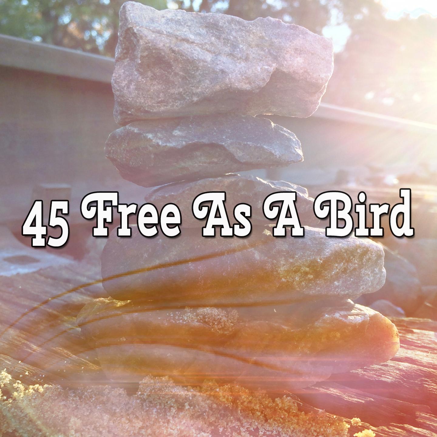 45 Free As A Bird专辑