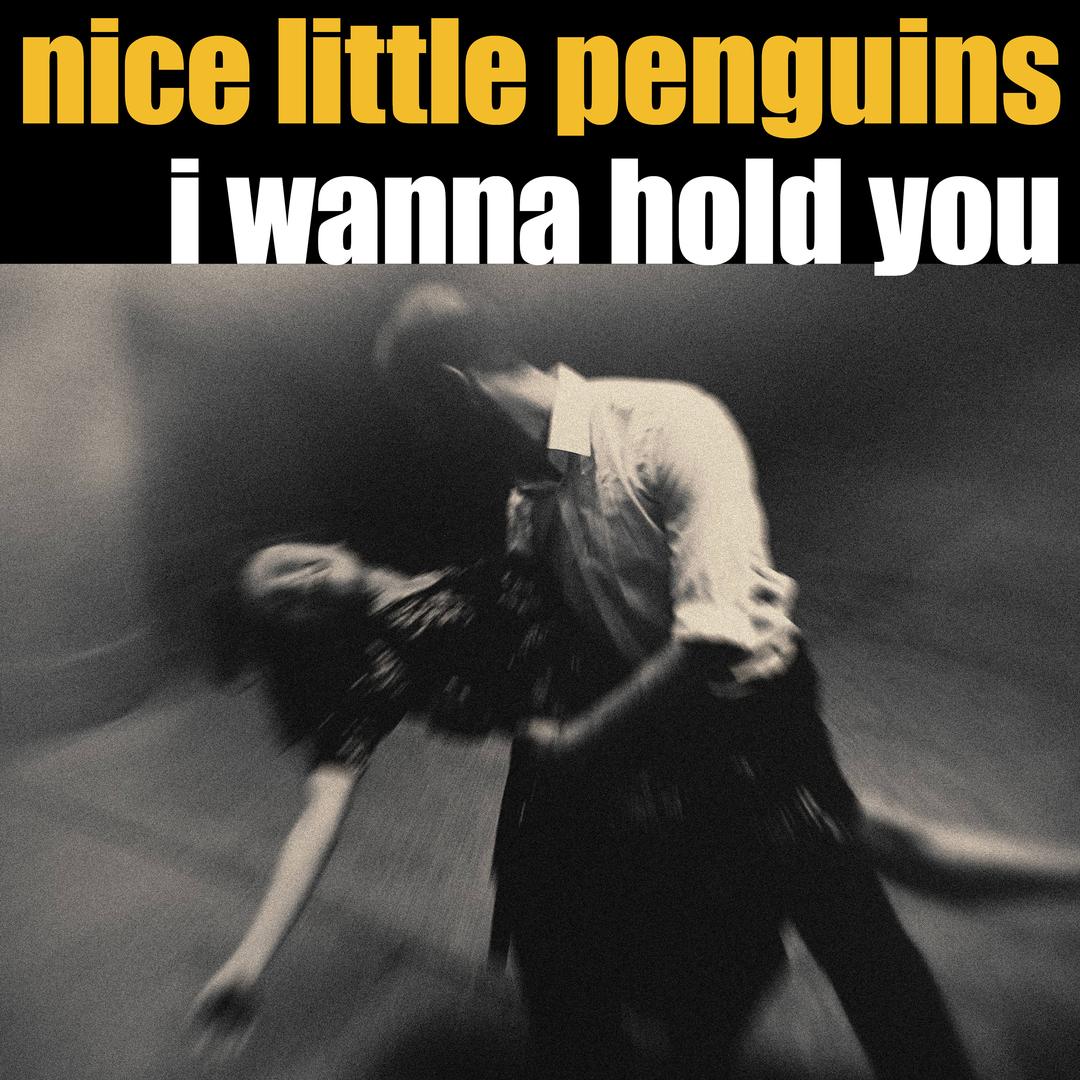 I Wanna Hold You
