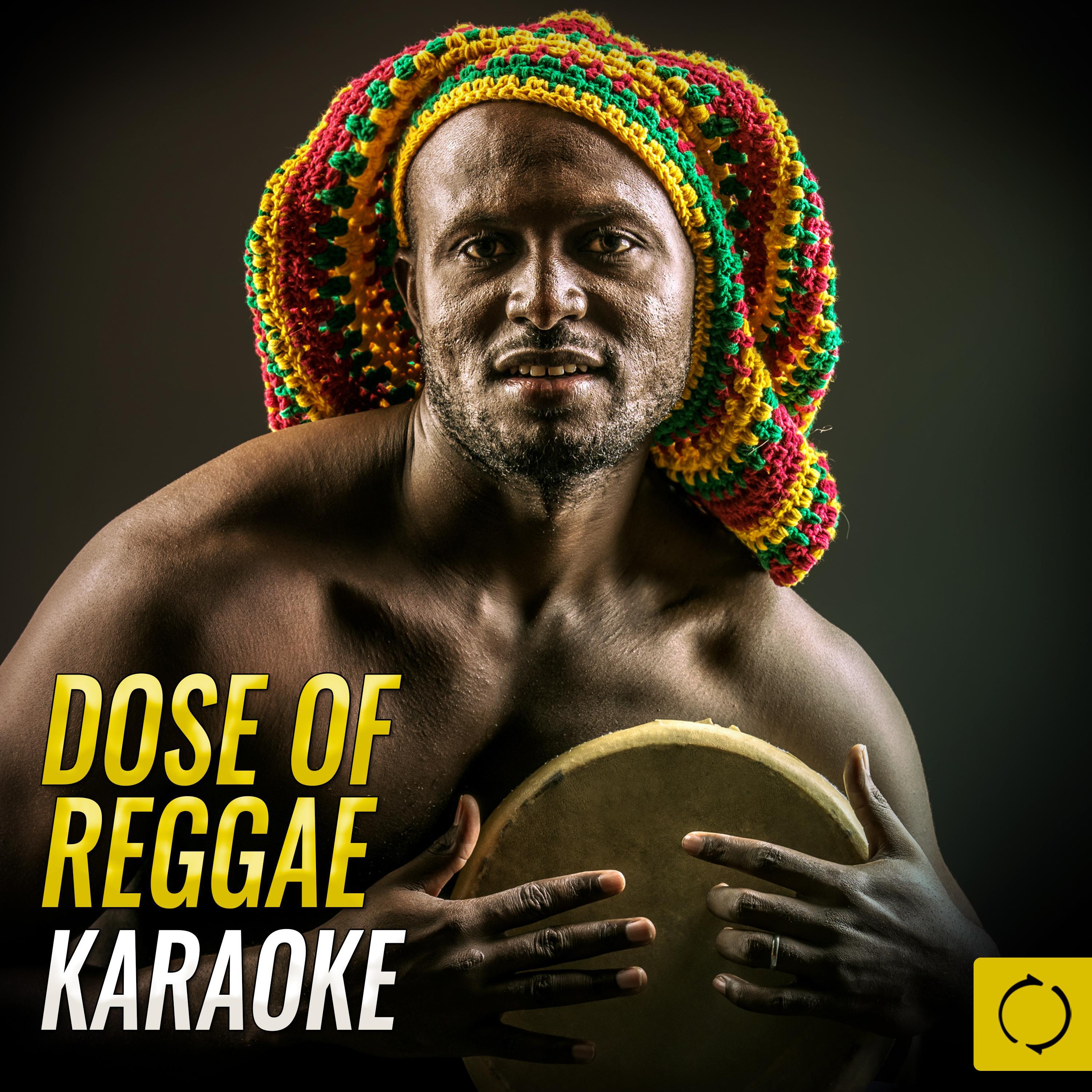 Dose of Reggae Karaoke专辑