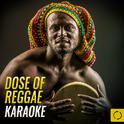 Dose of Reggae Karaoke专辑