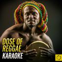 Dose of Reggae Karaoke专辑