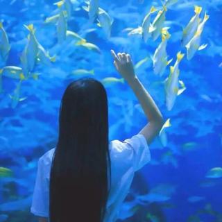 一听入魂4