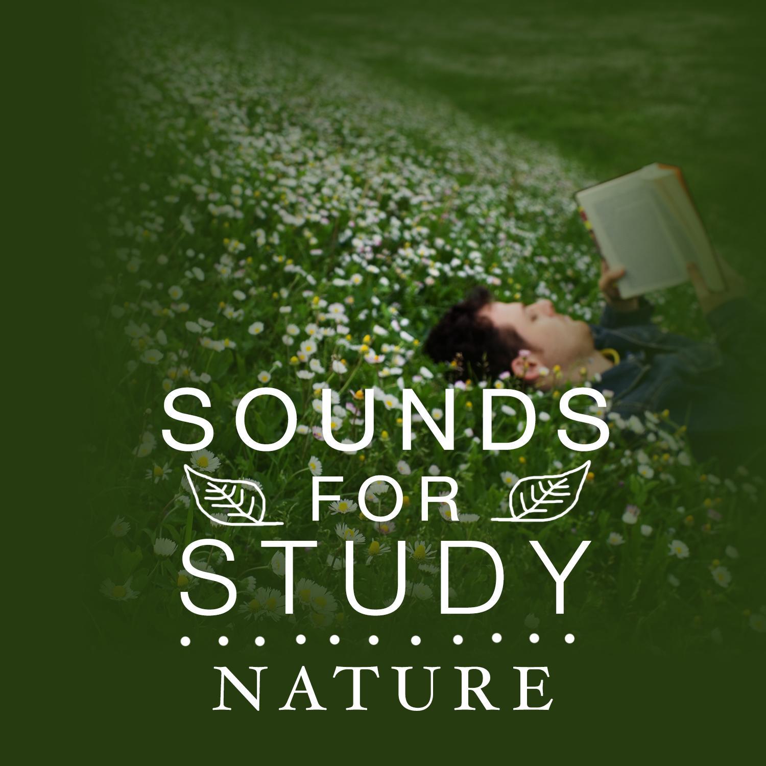 Sounds for Study: Nature专辑