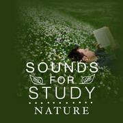 Sounds for Study: Nature