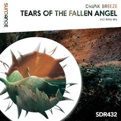 Tears Of The Fallen Angel