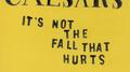 It's Not The Fall That Hurts专辑
