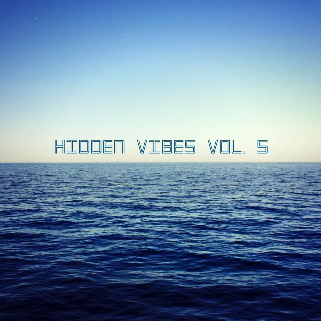 Hidden Vibes Vol. 5专辑