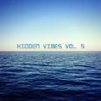 Hidden Vibes Vol. 5