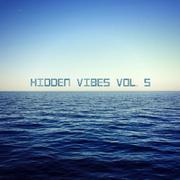 Hidden Vibes Vol. 5