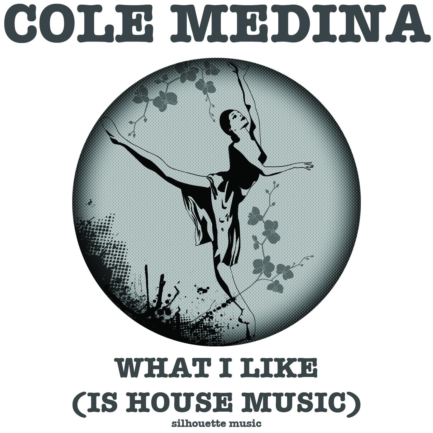 What I Like (Is House Music)