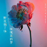 野花做了场玫瑰花的梦（2023时尚女嘉宾EDM电音舞曲资料） （嘉宾）