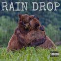 RAIN DROP