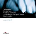 Schumann : Kreisleriana, Gesänge der Frühe, Variations & Nachtstücke专辑