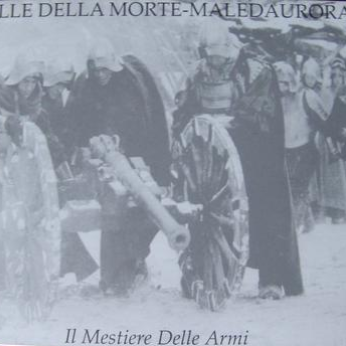 Il Mestiere Delle Armi
