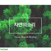 자연의 소리 (숙면, 휴식, 집중, 명상, 반려견, 힐링 사운드)