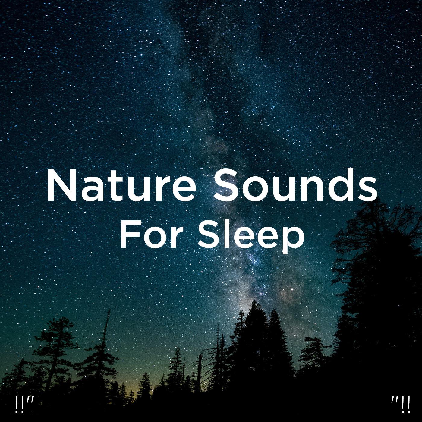 !!" Nature Sounds For Sleep "!!