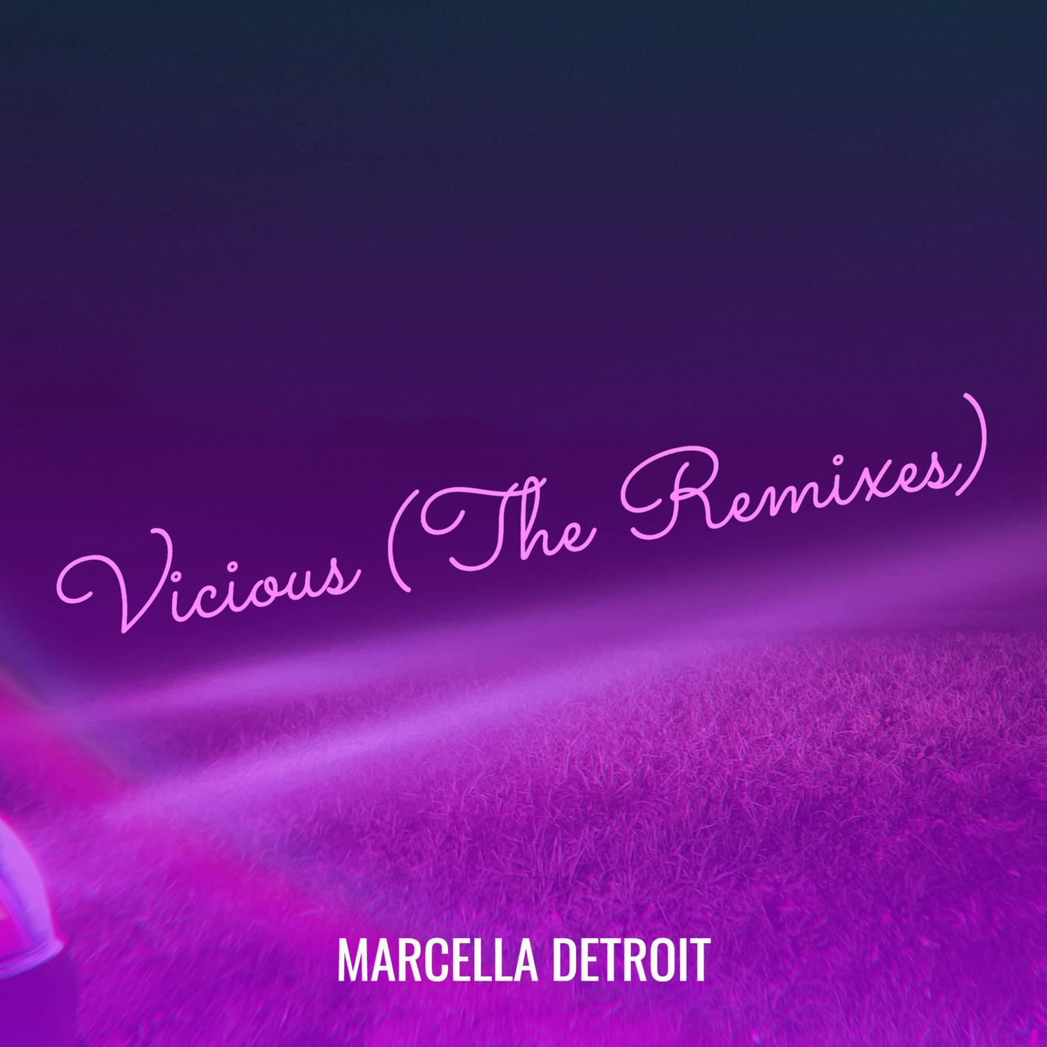 Vicious ***** (The Remixes)