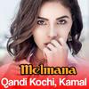 Qandi Kochi - Za De Pa Zra Wishtali Yama