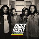 The Best Of Ziggy Marley & The Melody Makers专辑