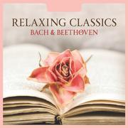 Relaxing Classics专辑