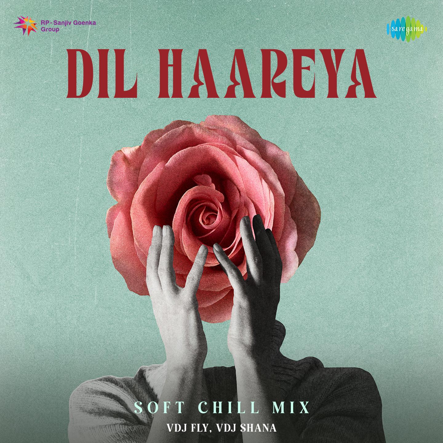 Dil Haareya - Soft Chill Mix