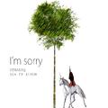 I`m Sorry