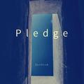 Pledge What？