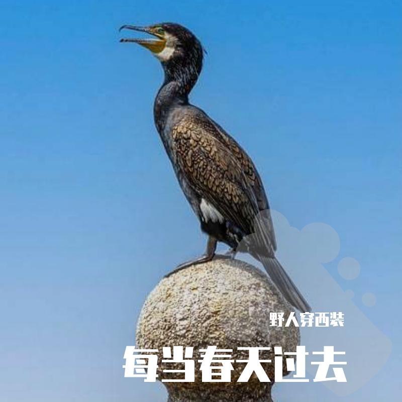 每当春天过去